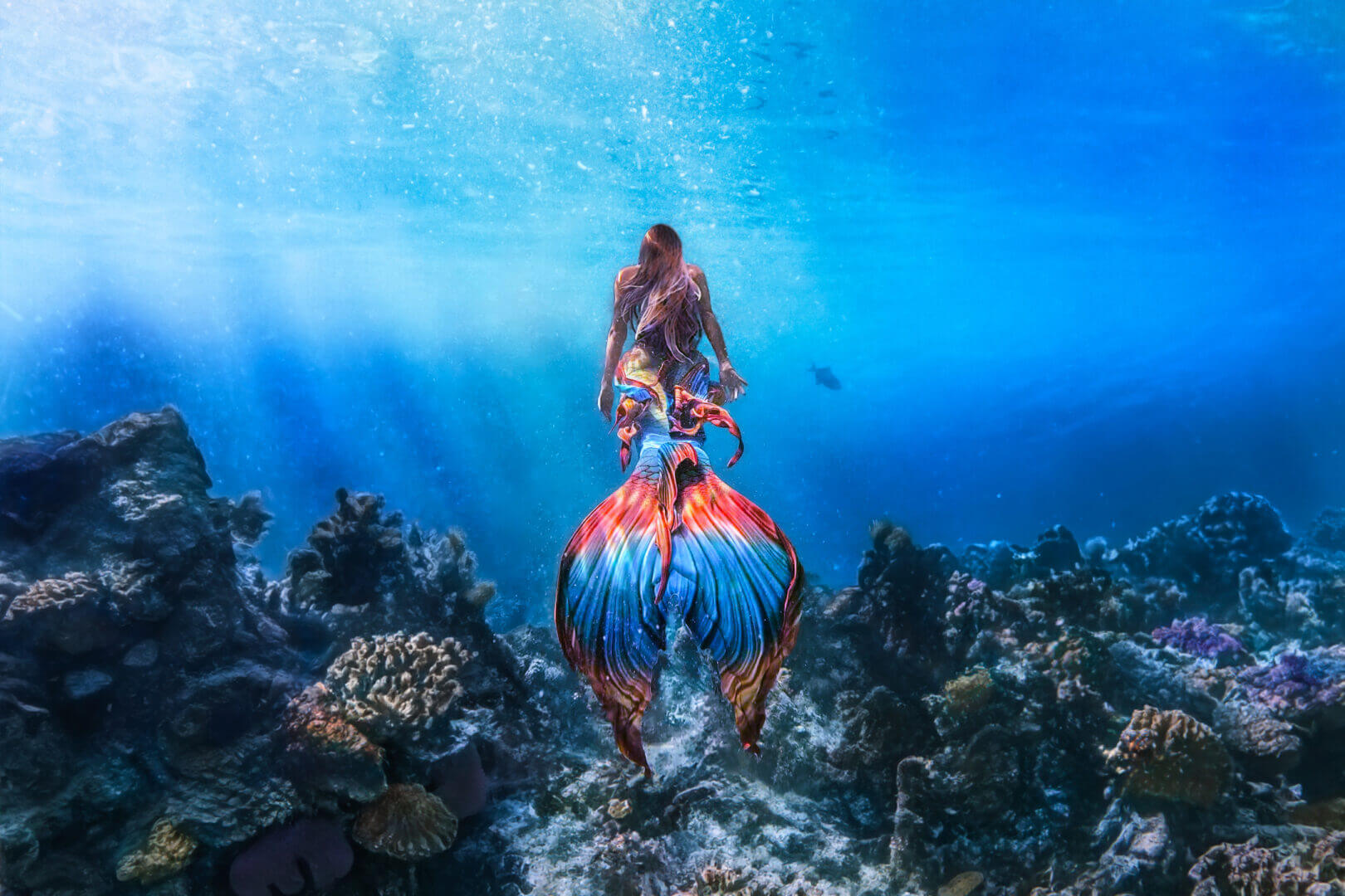 MermaidHERO_04