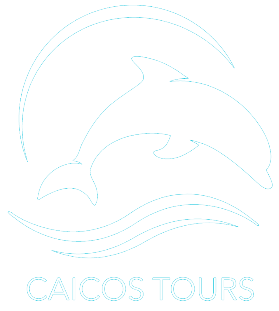 Caicos Tours logo